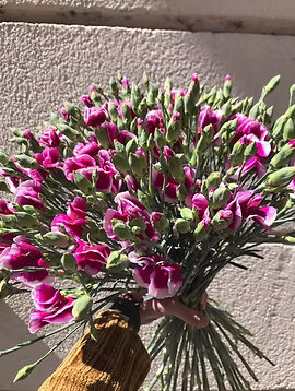 Bouquet d'œillets roses